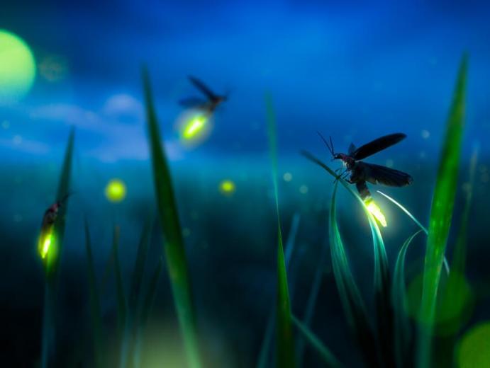Destination-img