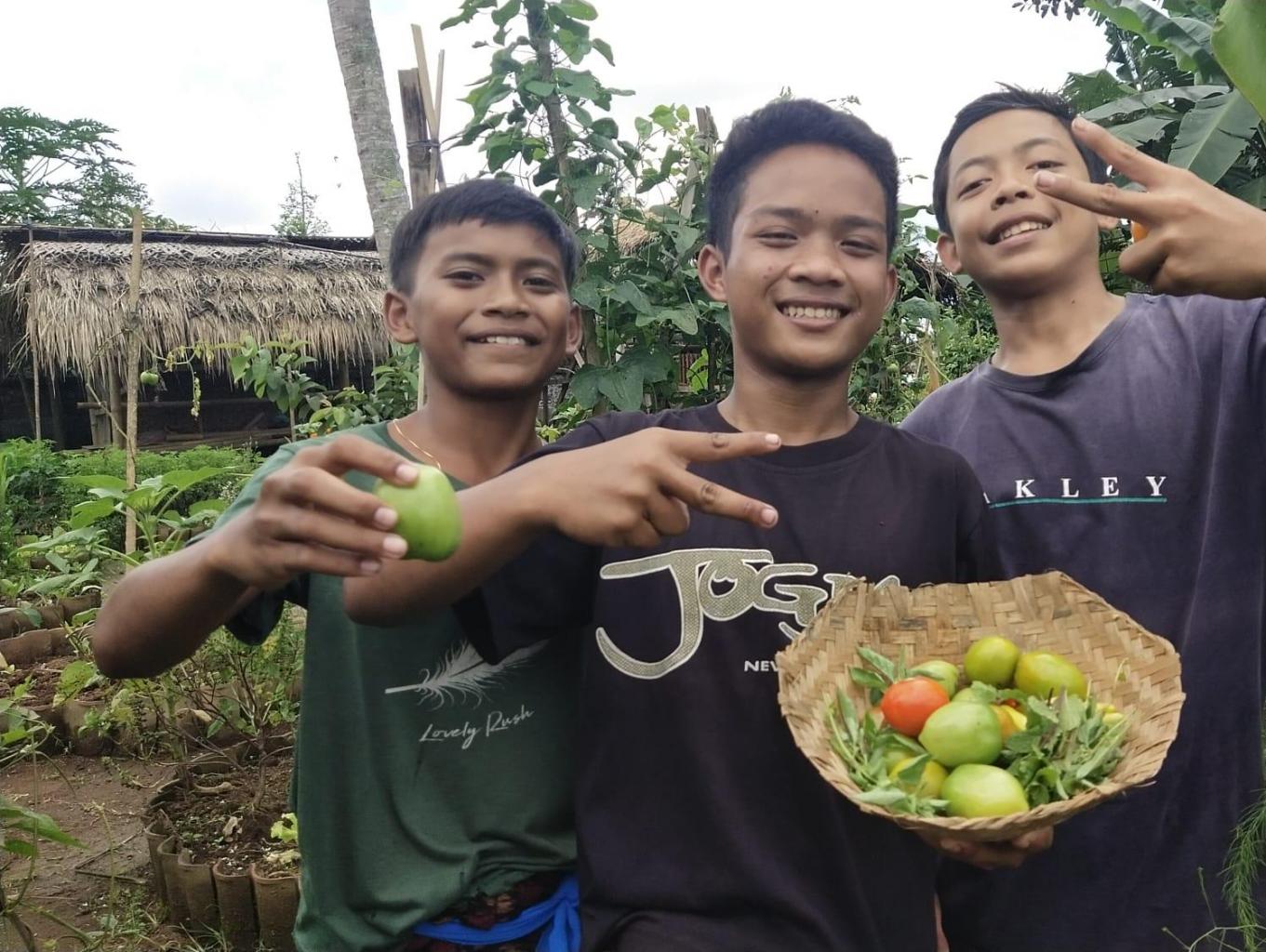 Organic Garden 