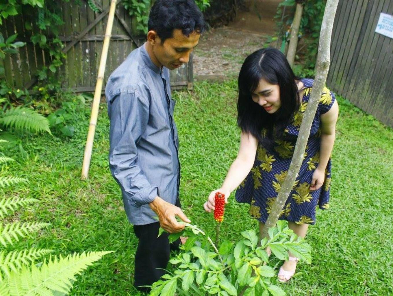 Belajar Sosio-Eko-Kultural  Tumbuhan