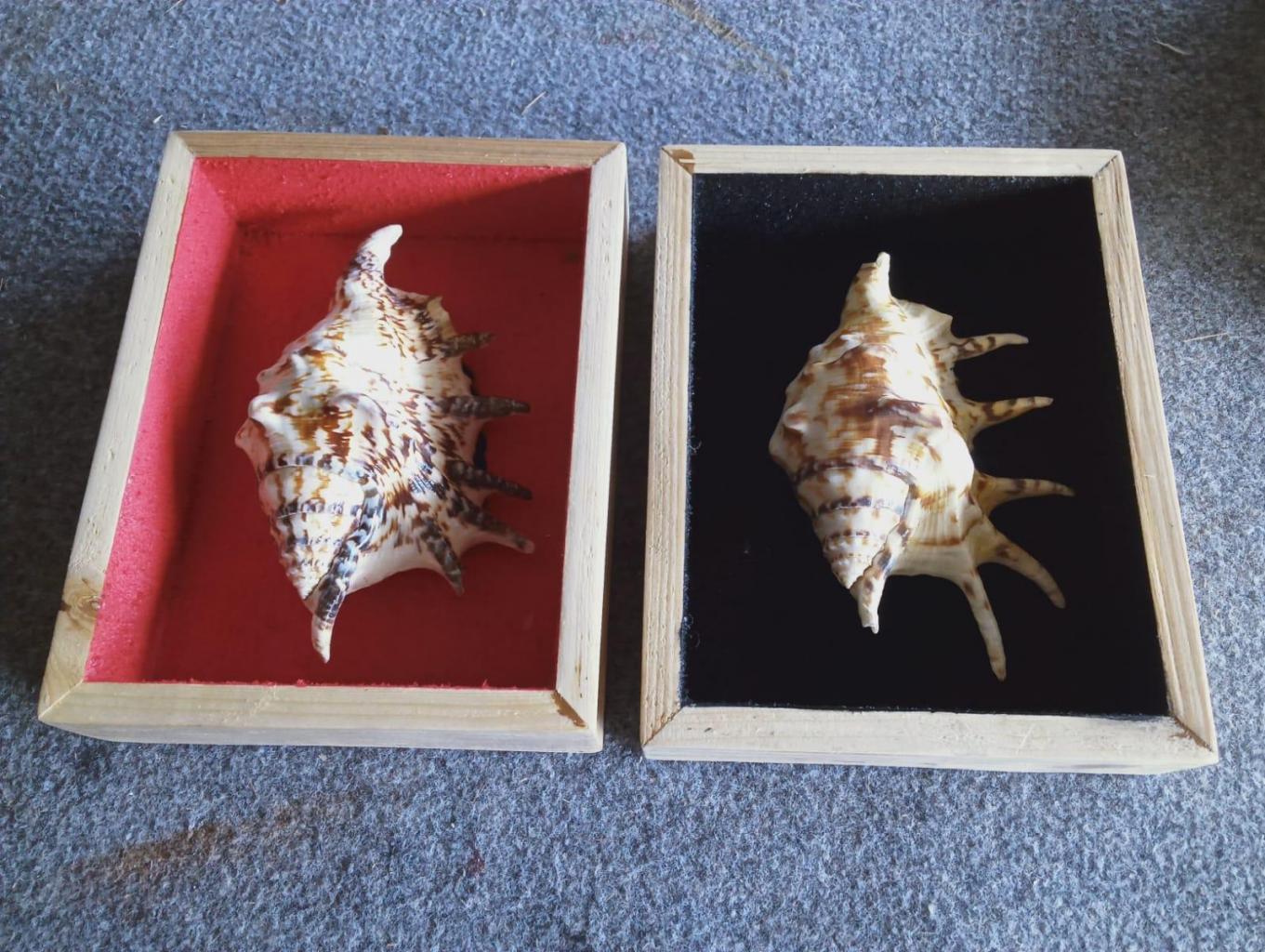 souvenir