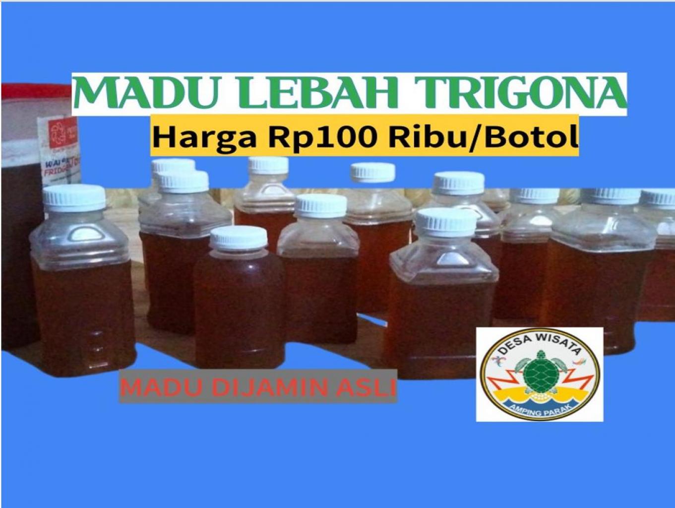 Madu Lebah Trigona
