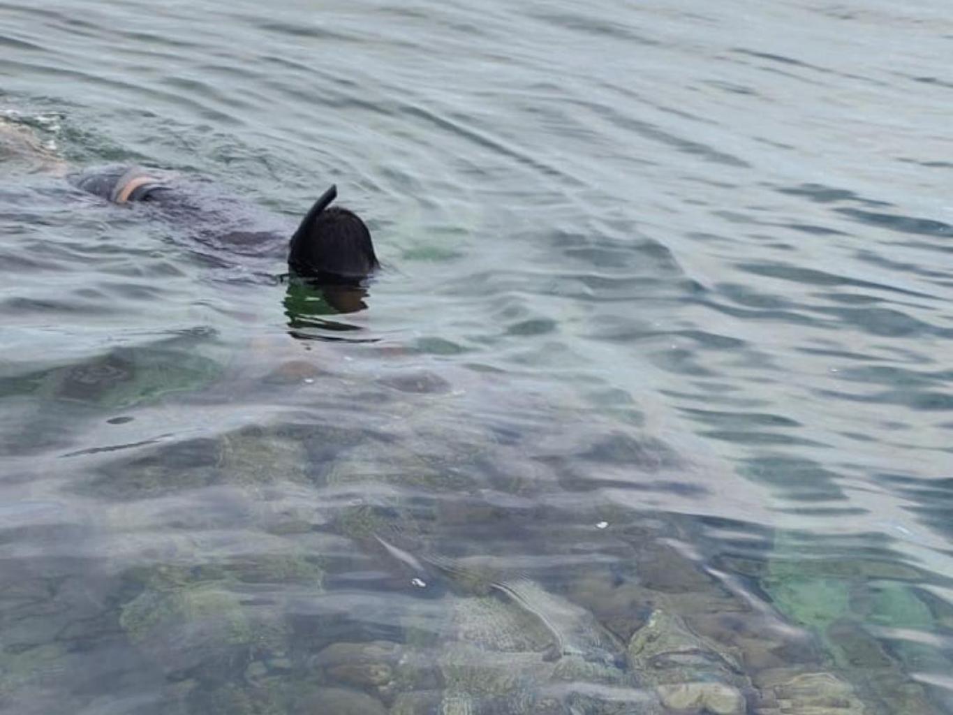 Paket Snorkeling Terumbu Karang Tarapuli 