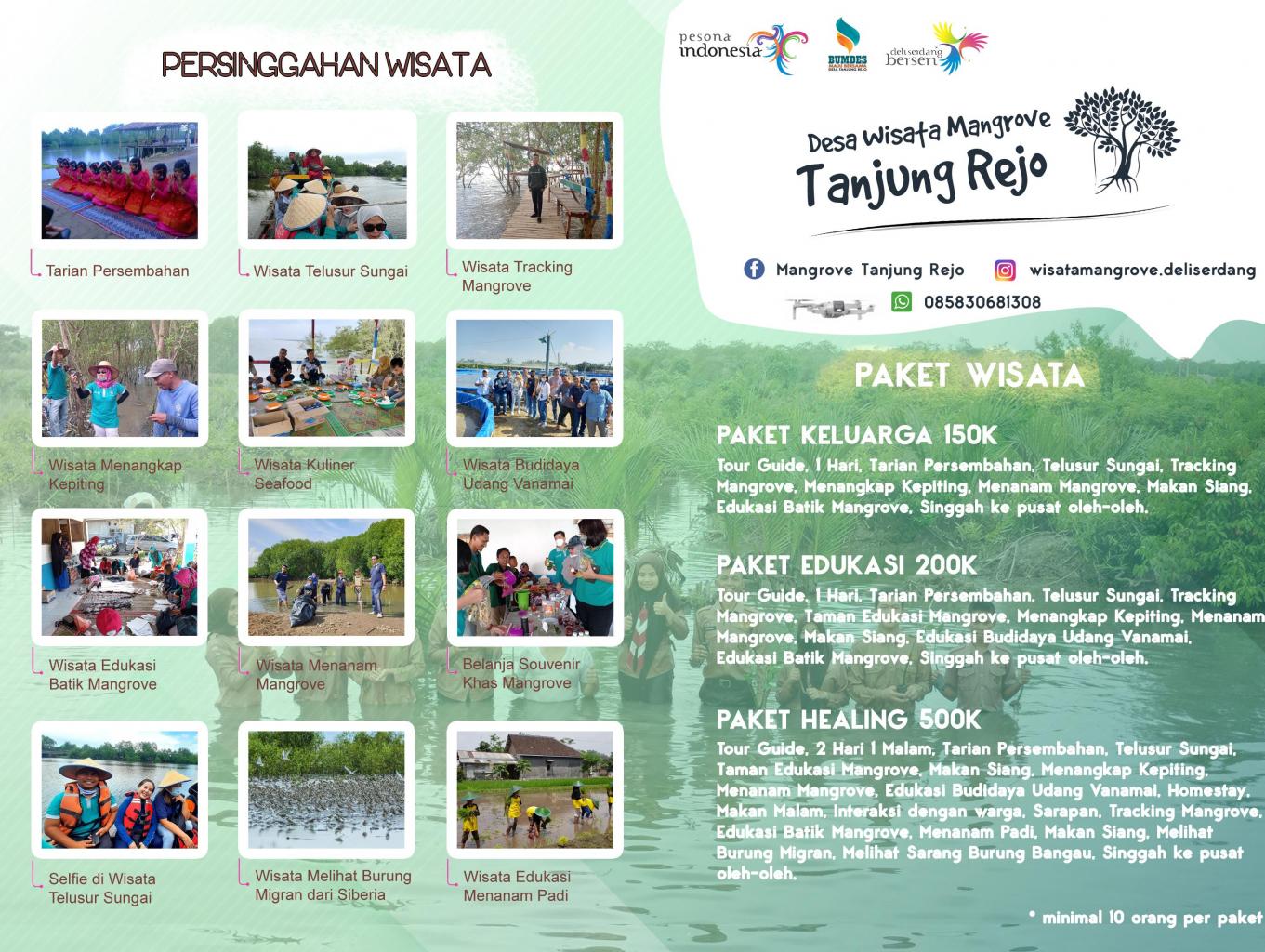 Mangrove Tanjung Rejo
