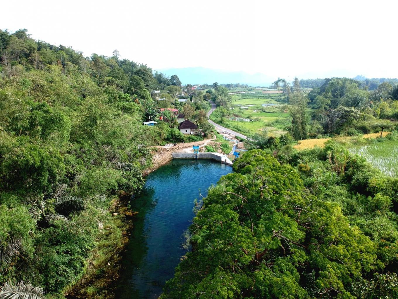 TIGO BALAI