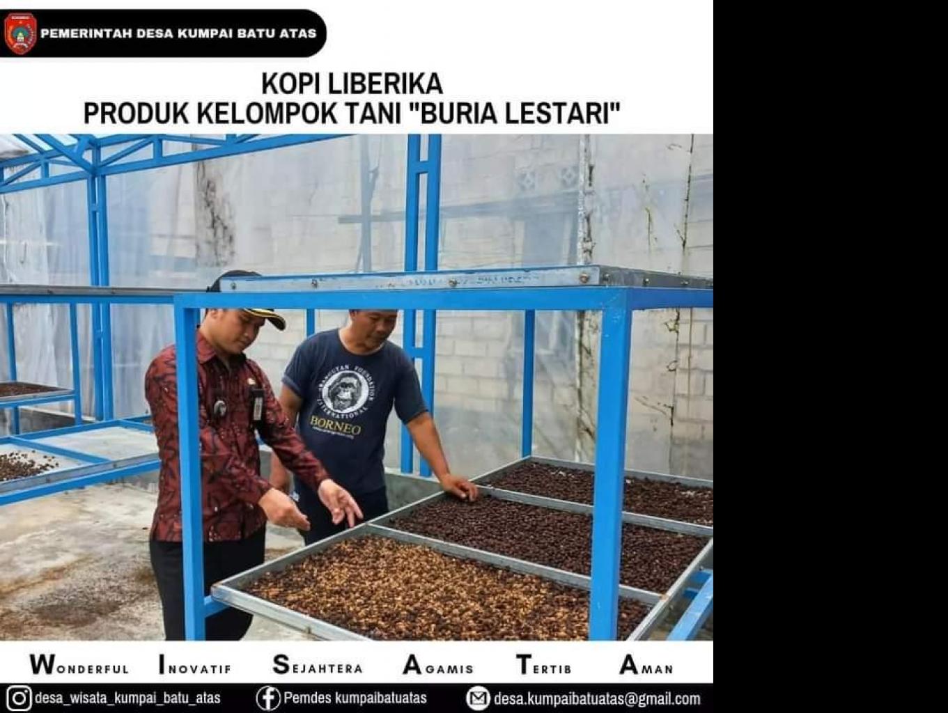 AGROWISATA KOPI LIBERIKA