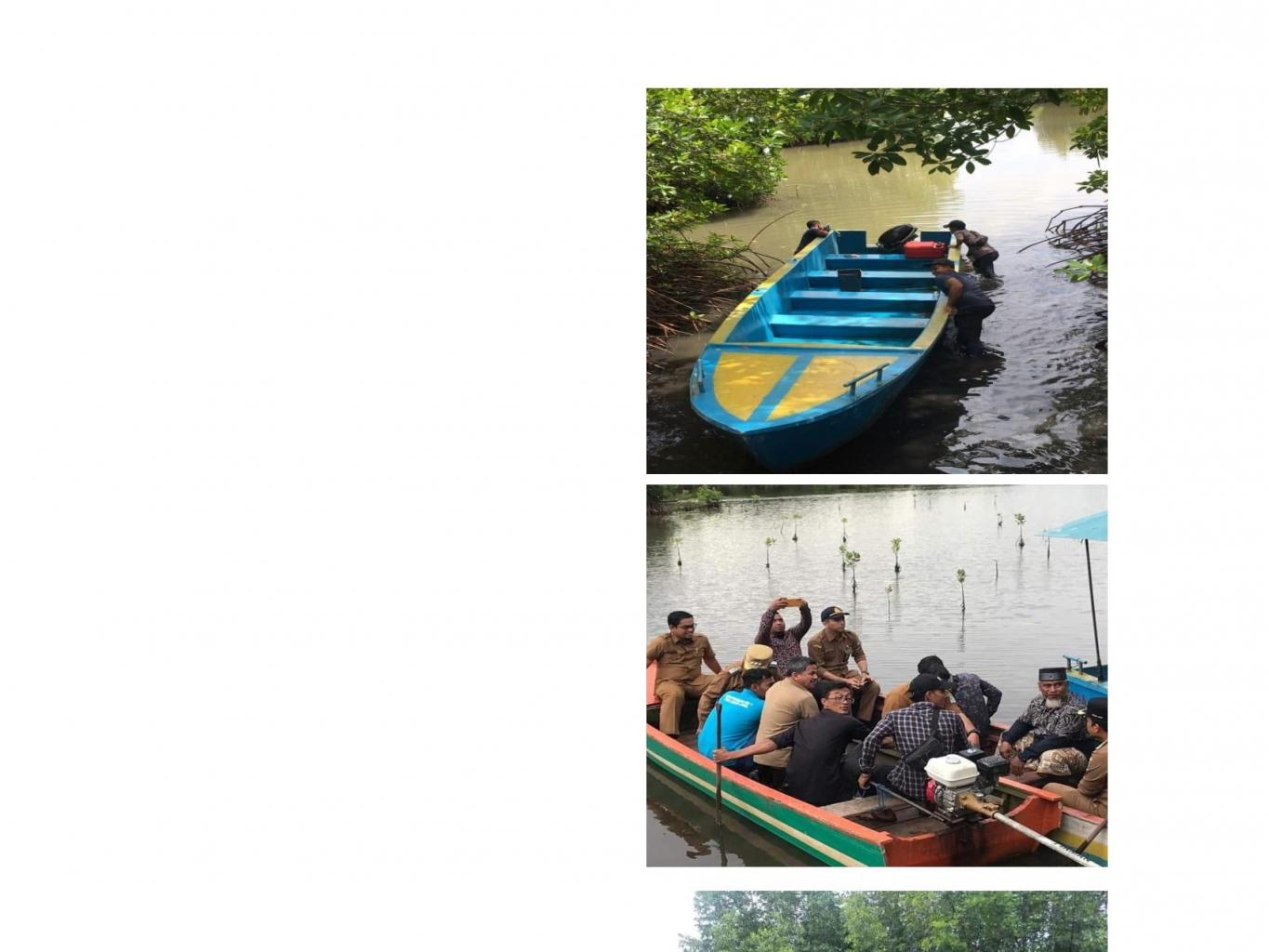 Keliling Hutan Mangrove dengan boat