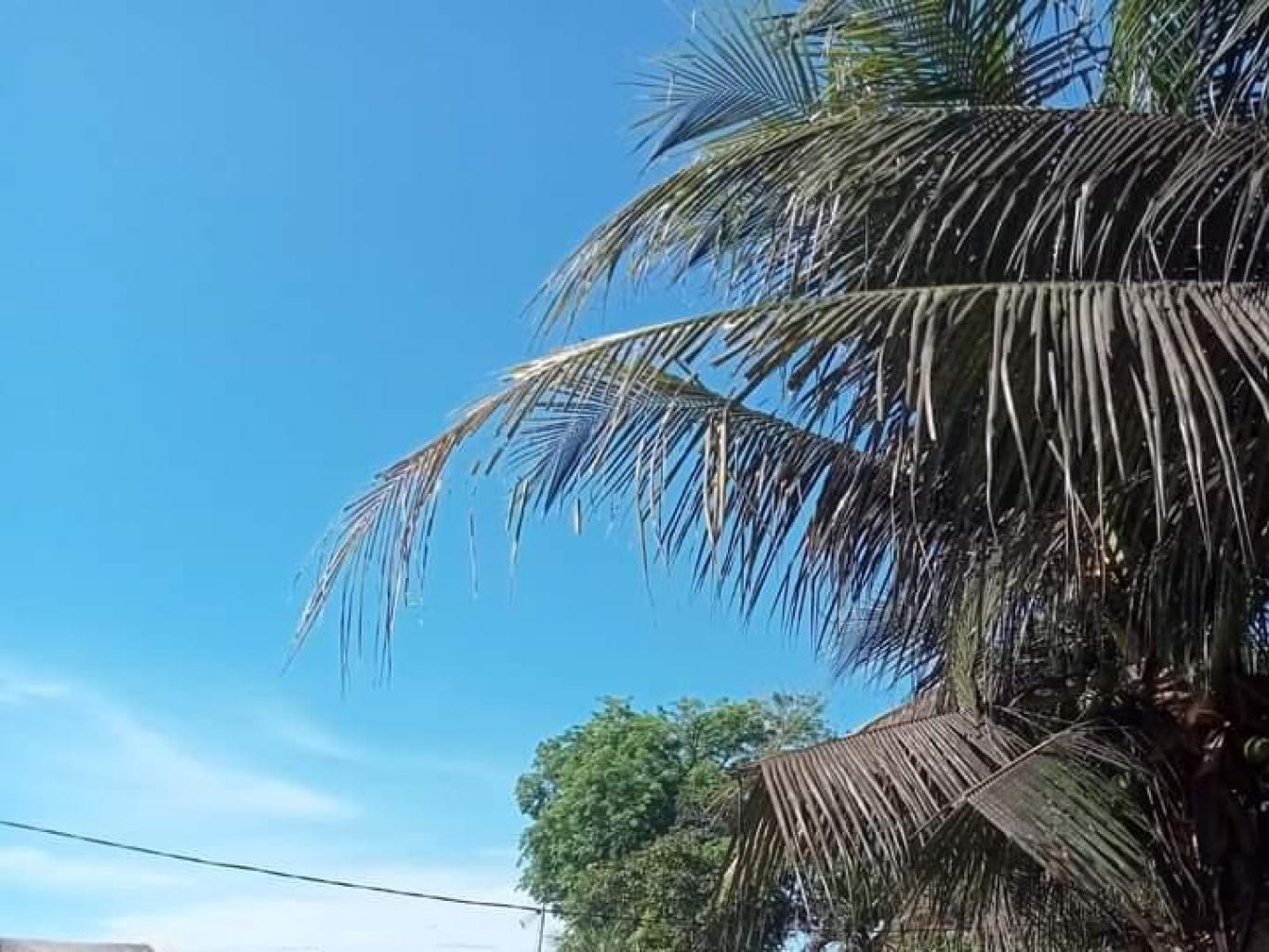 Randai