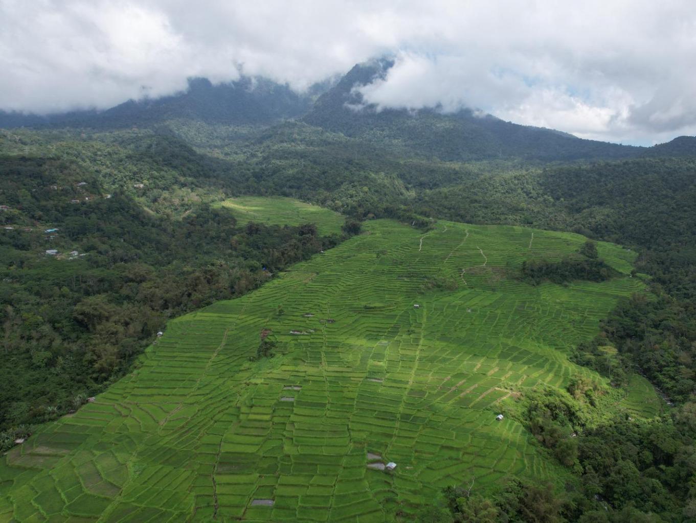 Agrowisata Golo Loni