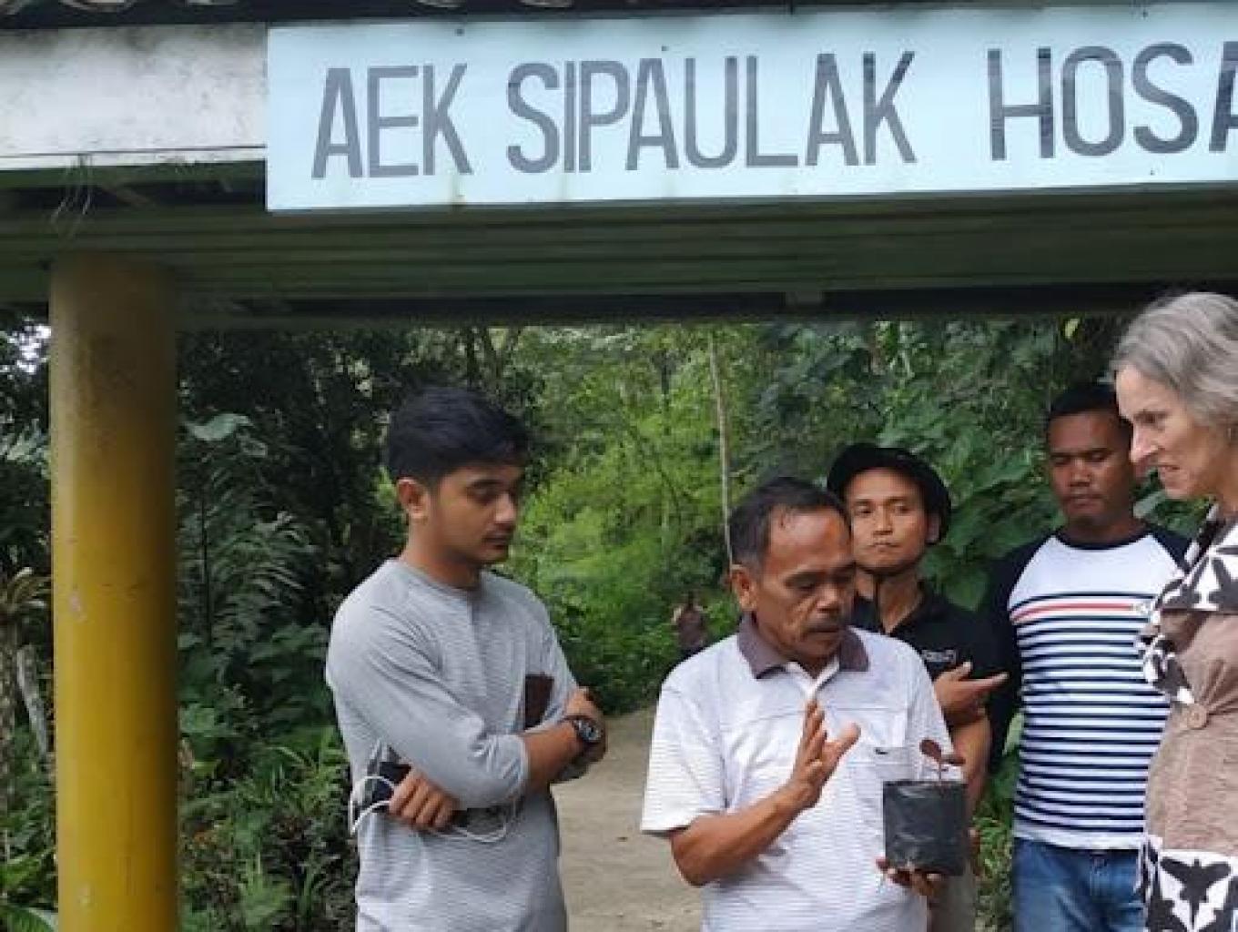 Mengenal Tanaman Endemik Silalahi Di Sipaulak Hosa Loja