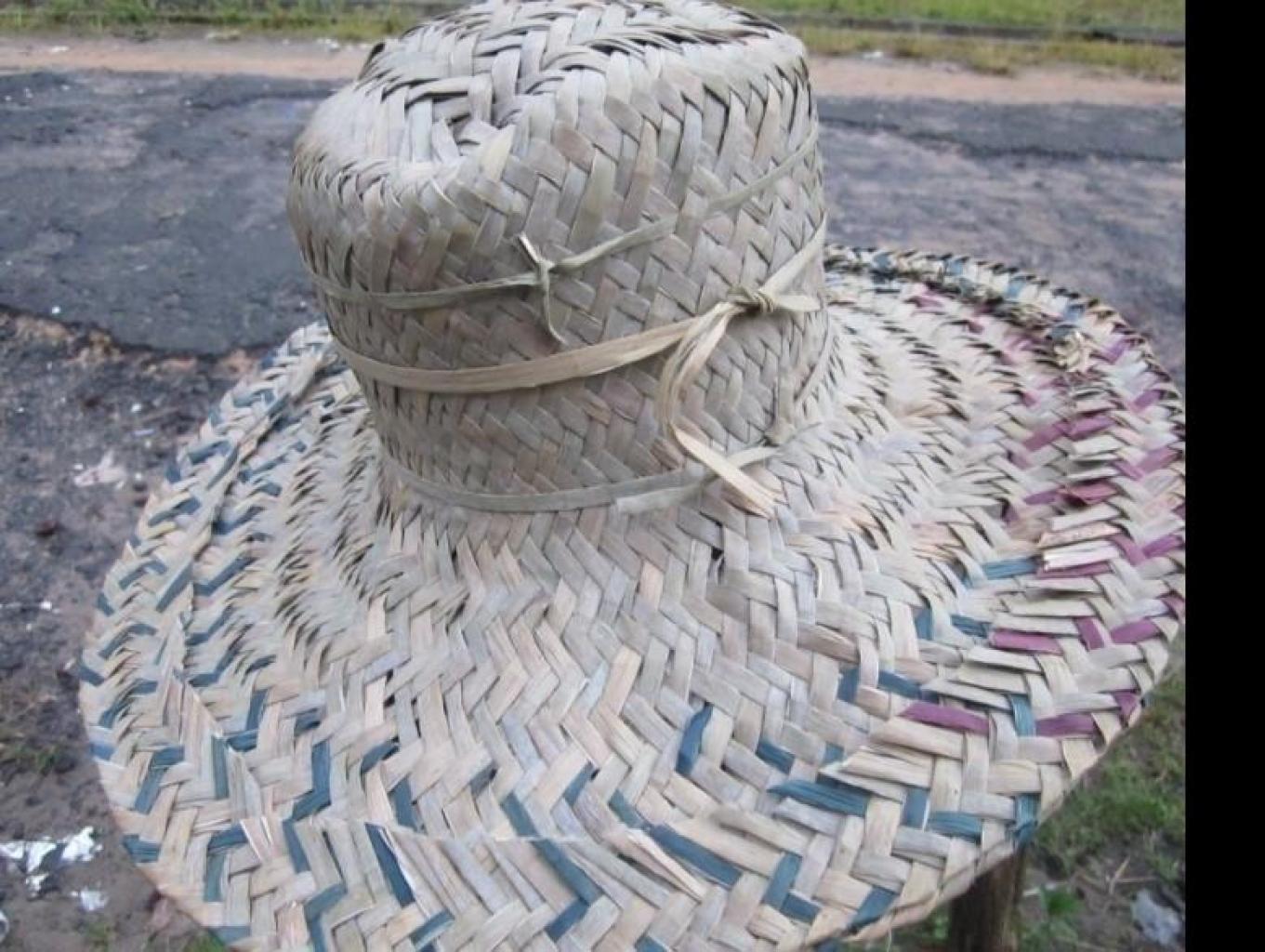 Topi Purun