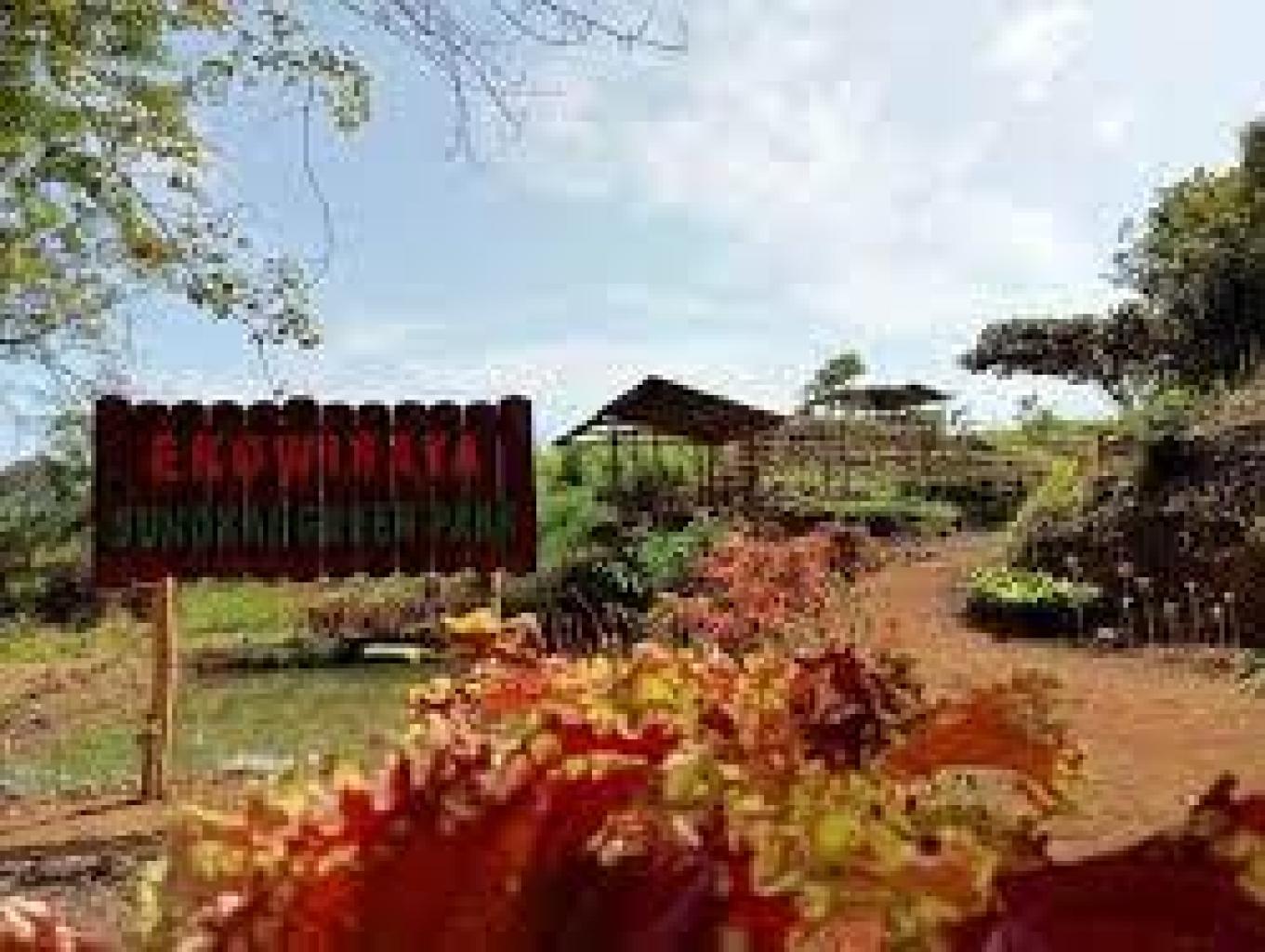 ekowisata sungkai green park