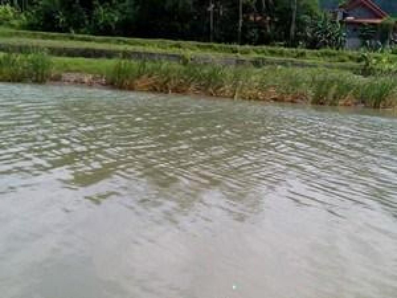 memancing