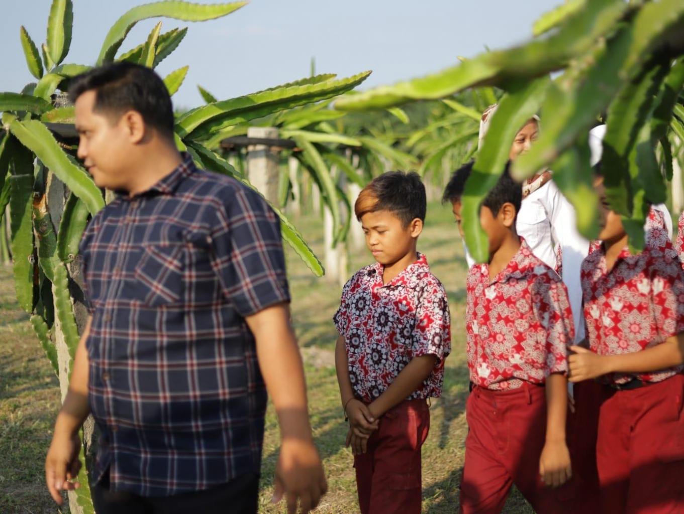 Edukasi tentang penanaman Pohon Buah Naga 