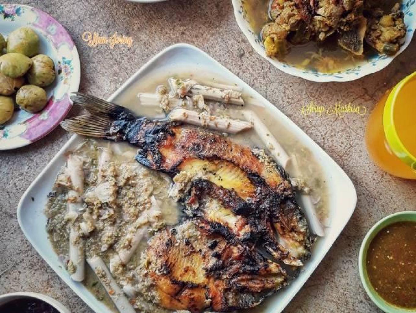 ikan mas holat