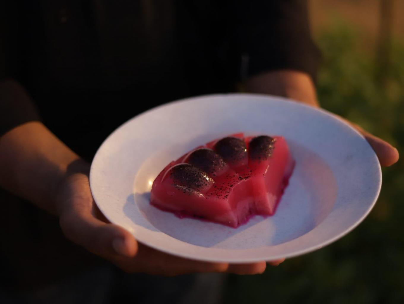 Puding Buah Naga 
