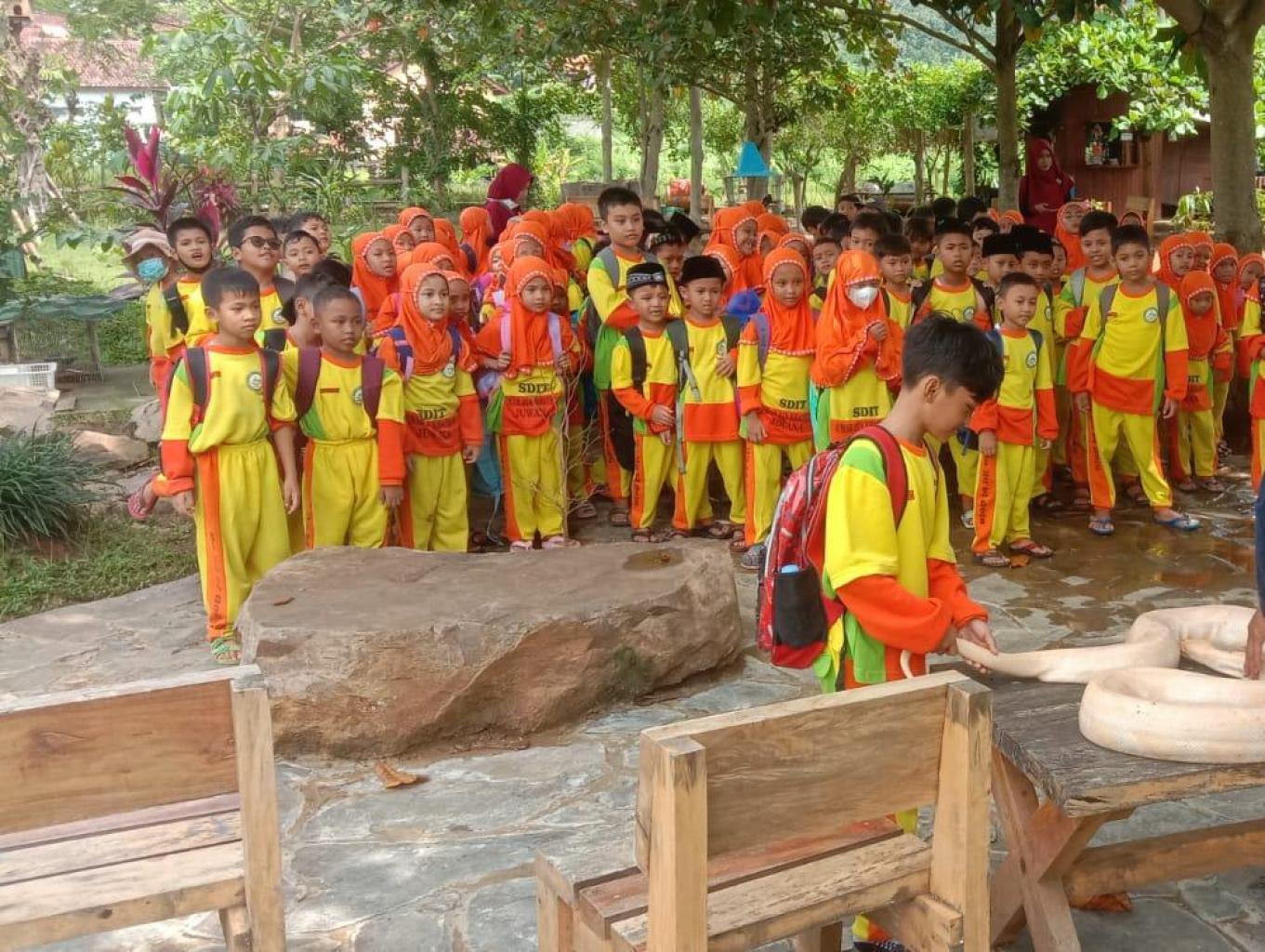 Paket Edukasi Satwa di lindungi dan selfie aneka satwa
