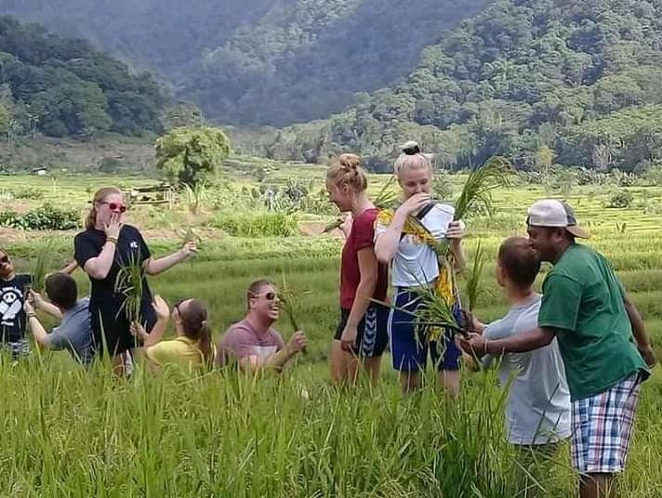 Paket Panen Padi