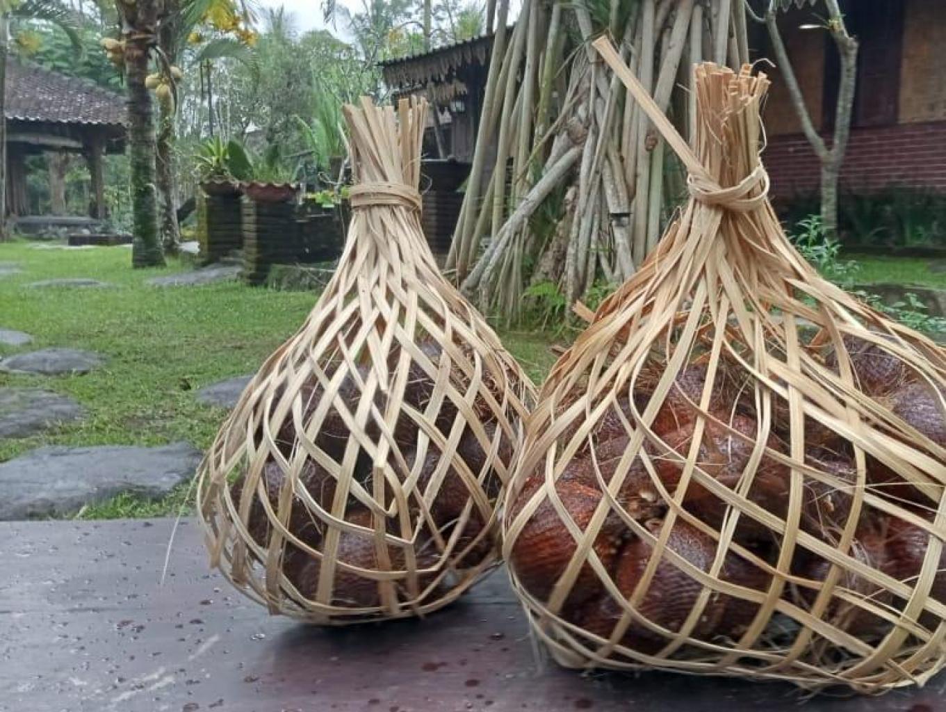 souvenir salak pondoh