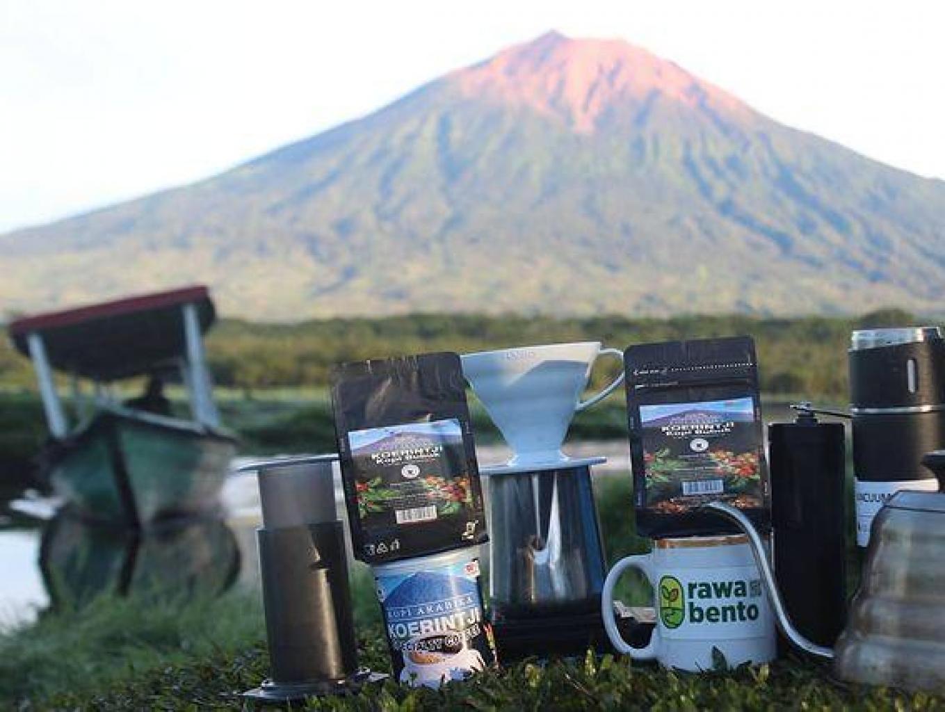 Kopi Arabika Kerinci