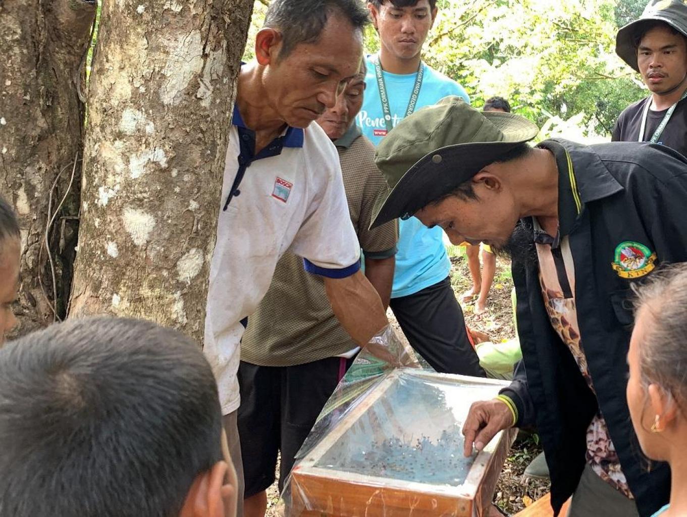 budidaya madu mentawai
