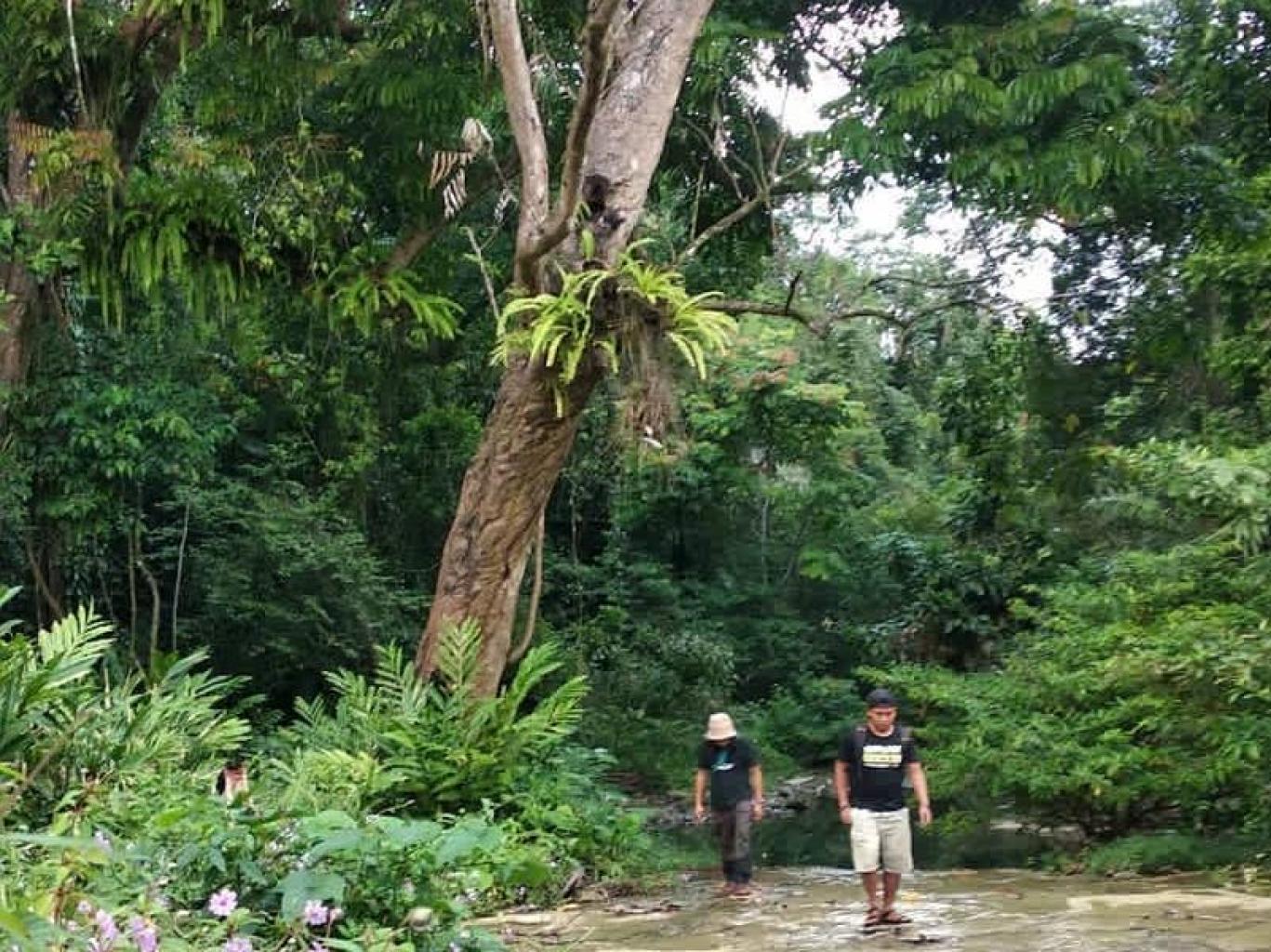 Wisata Jungle Trekking Sukamulya
