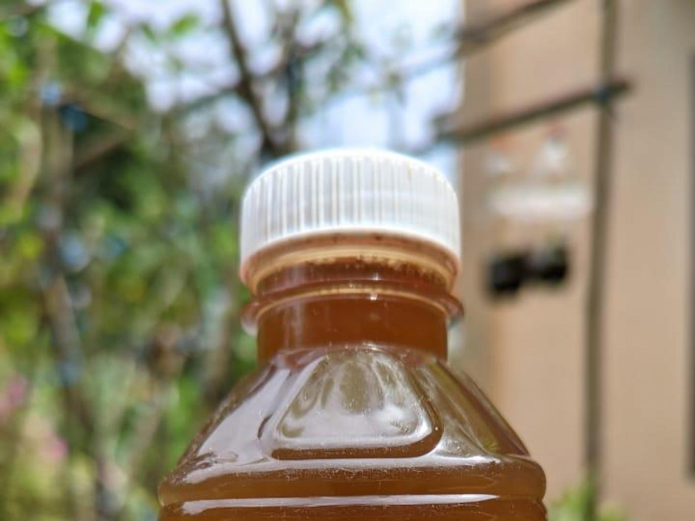 Juice Drink Pala/Syrup Pala
