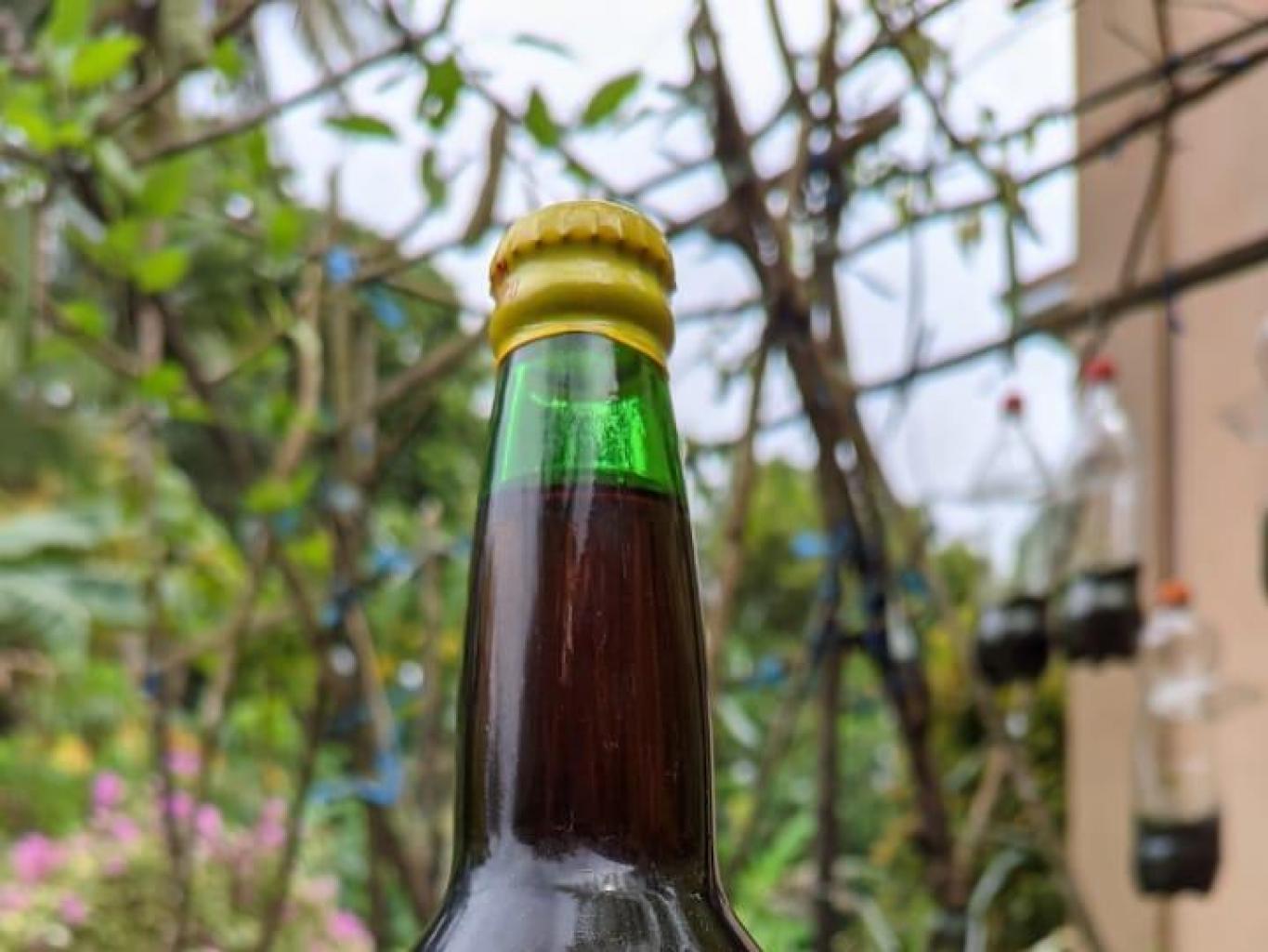 Anggur Pala 620ml