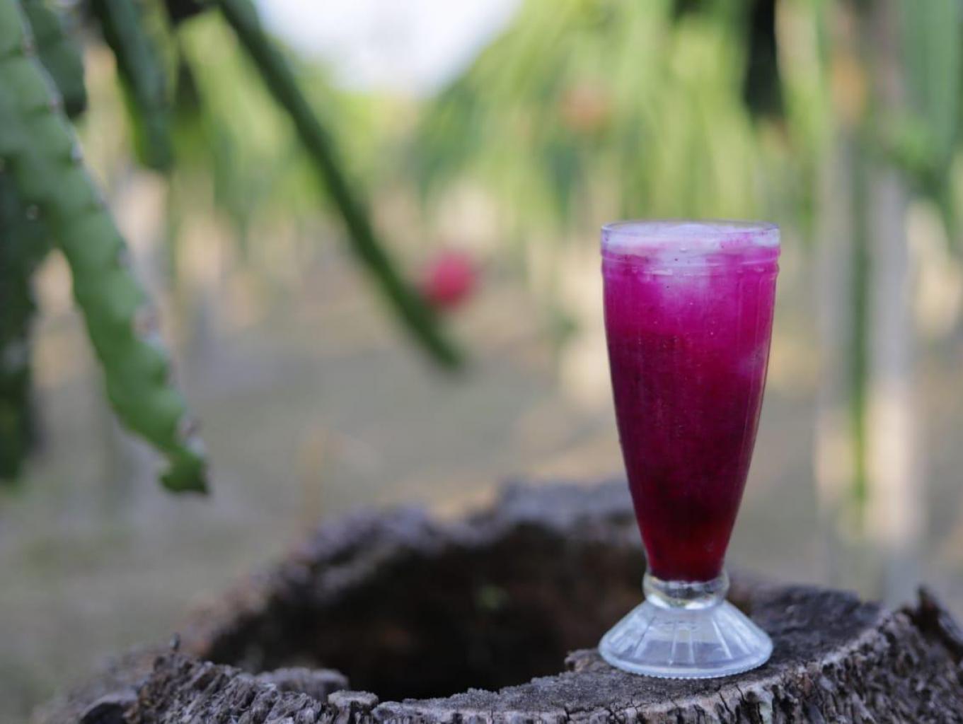 Jus Buah Naga 
