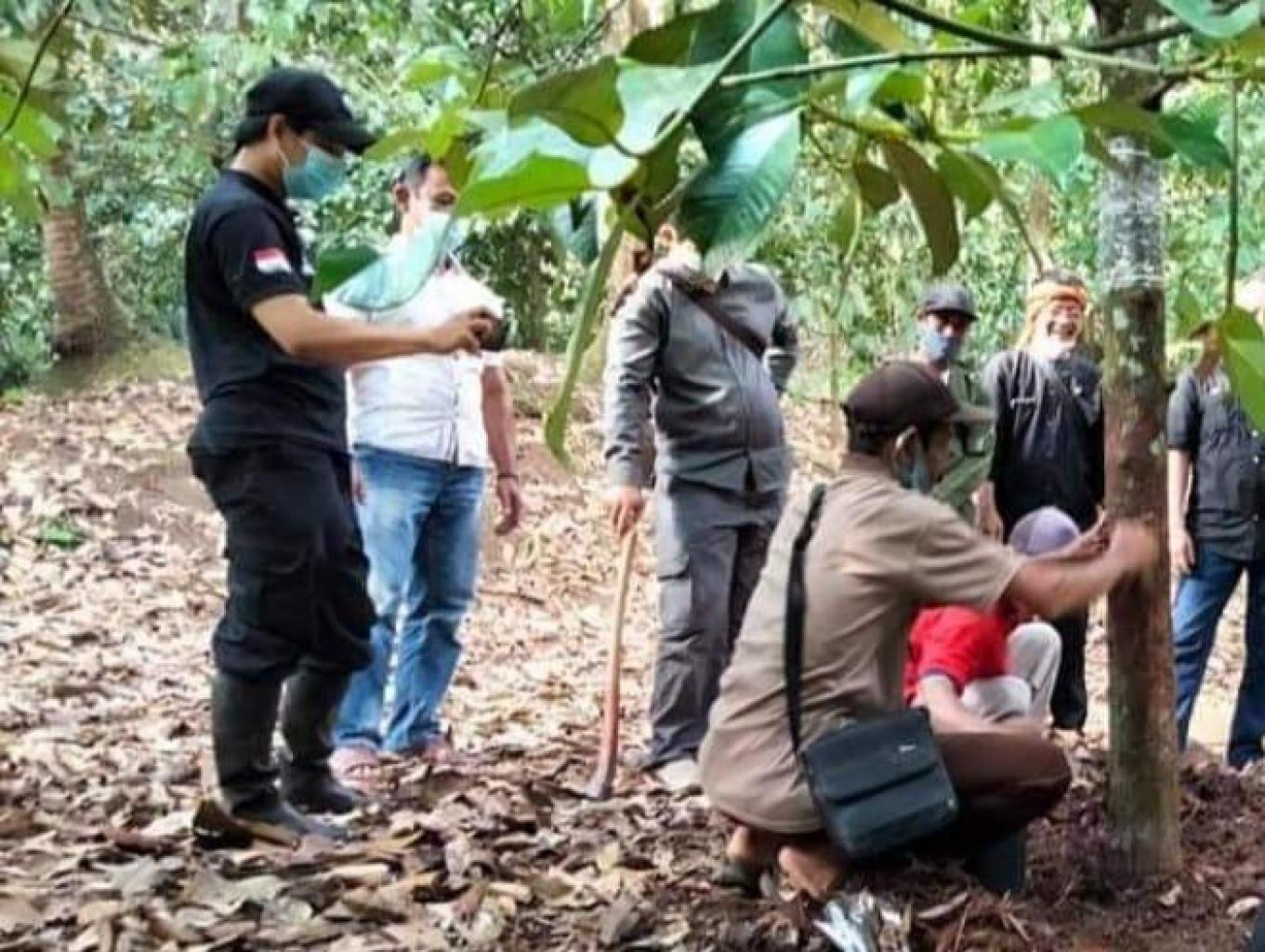 Agro Wisata Manggis