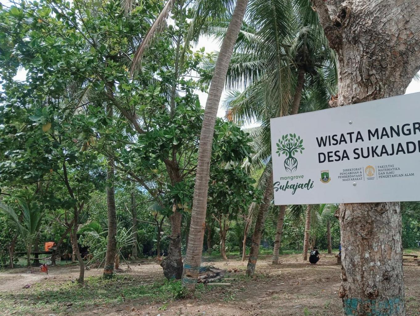 Wisata Mangrove