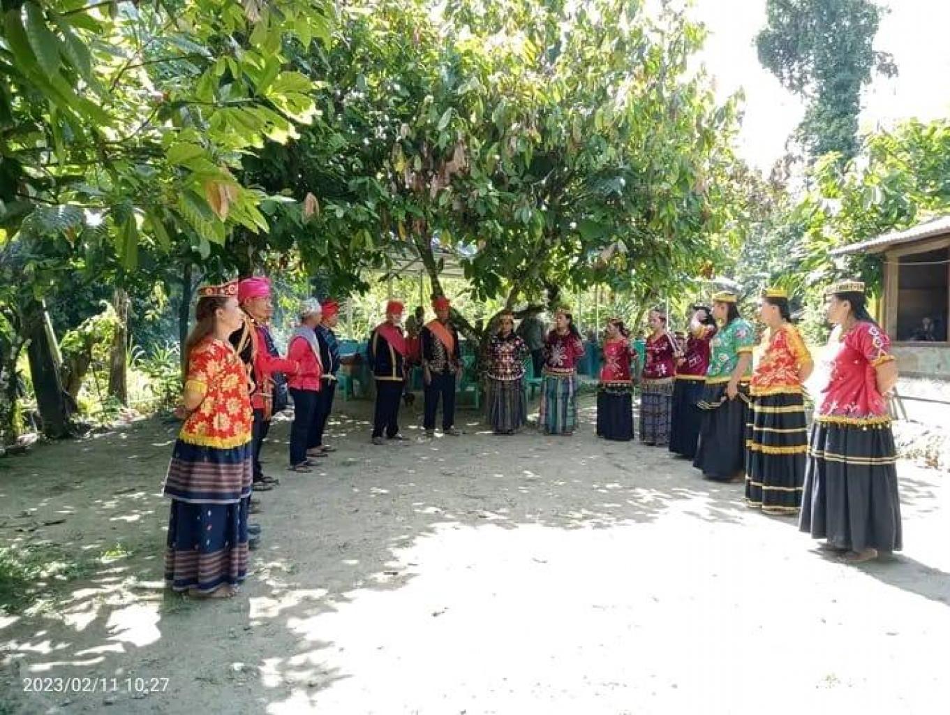 Tarian Dulua