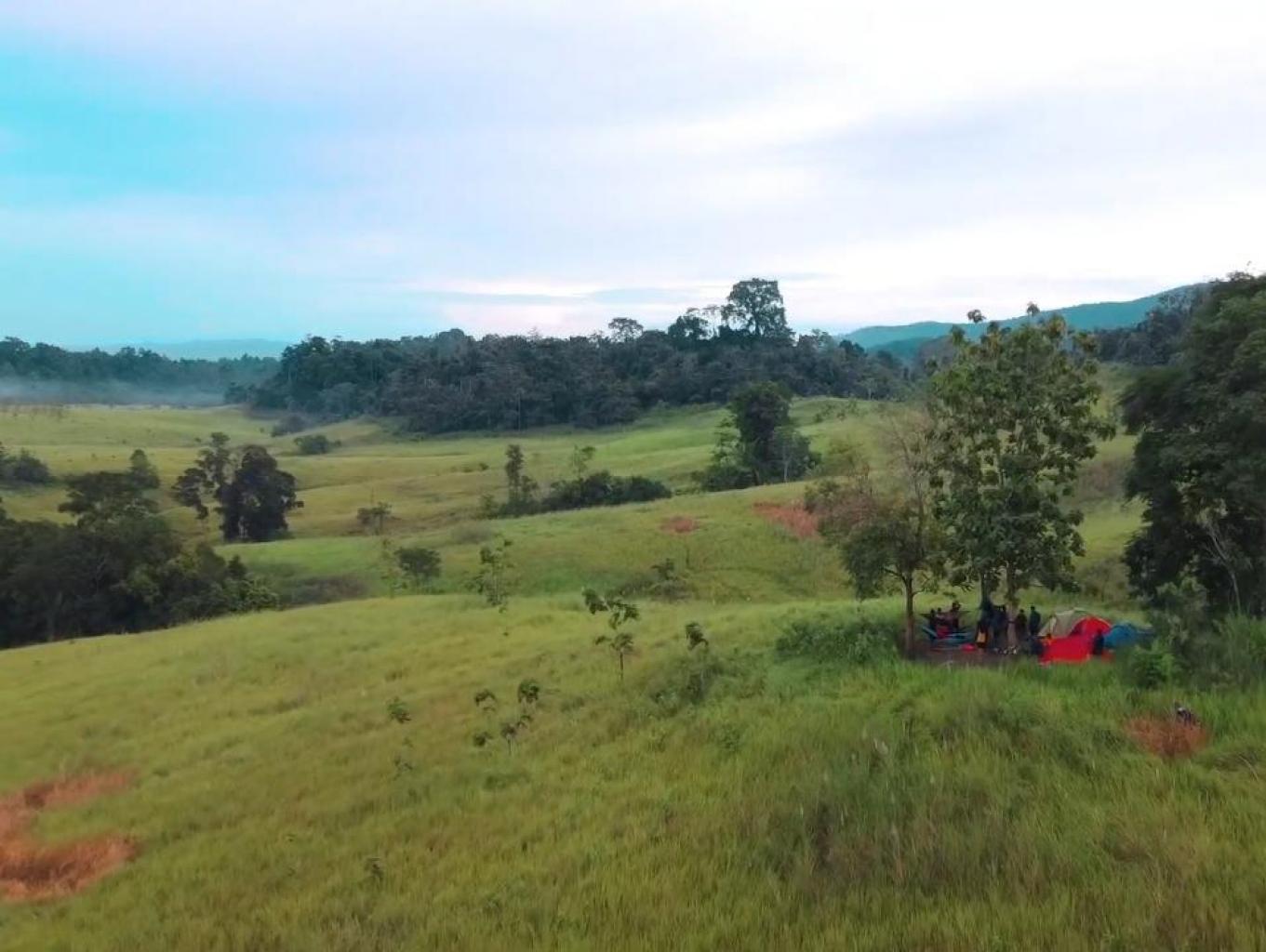 Padang Savana Barangka