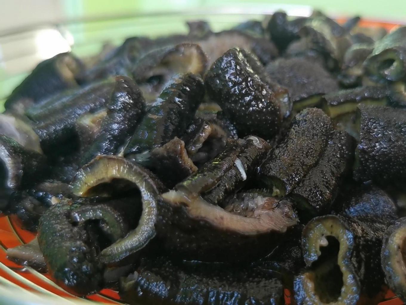 Kerupuk Teripang