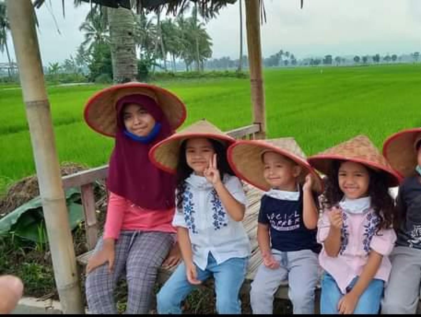 wisata sawah