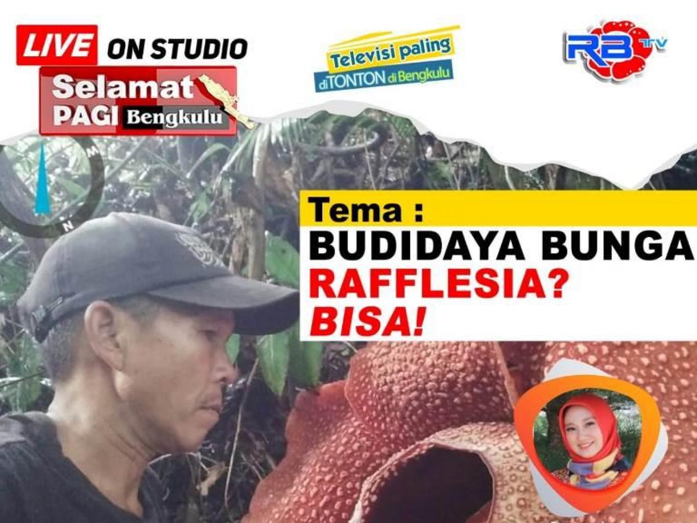 BUDIDAYA BUNGA RAFFLESIA ARNOLDI