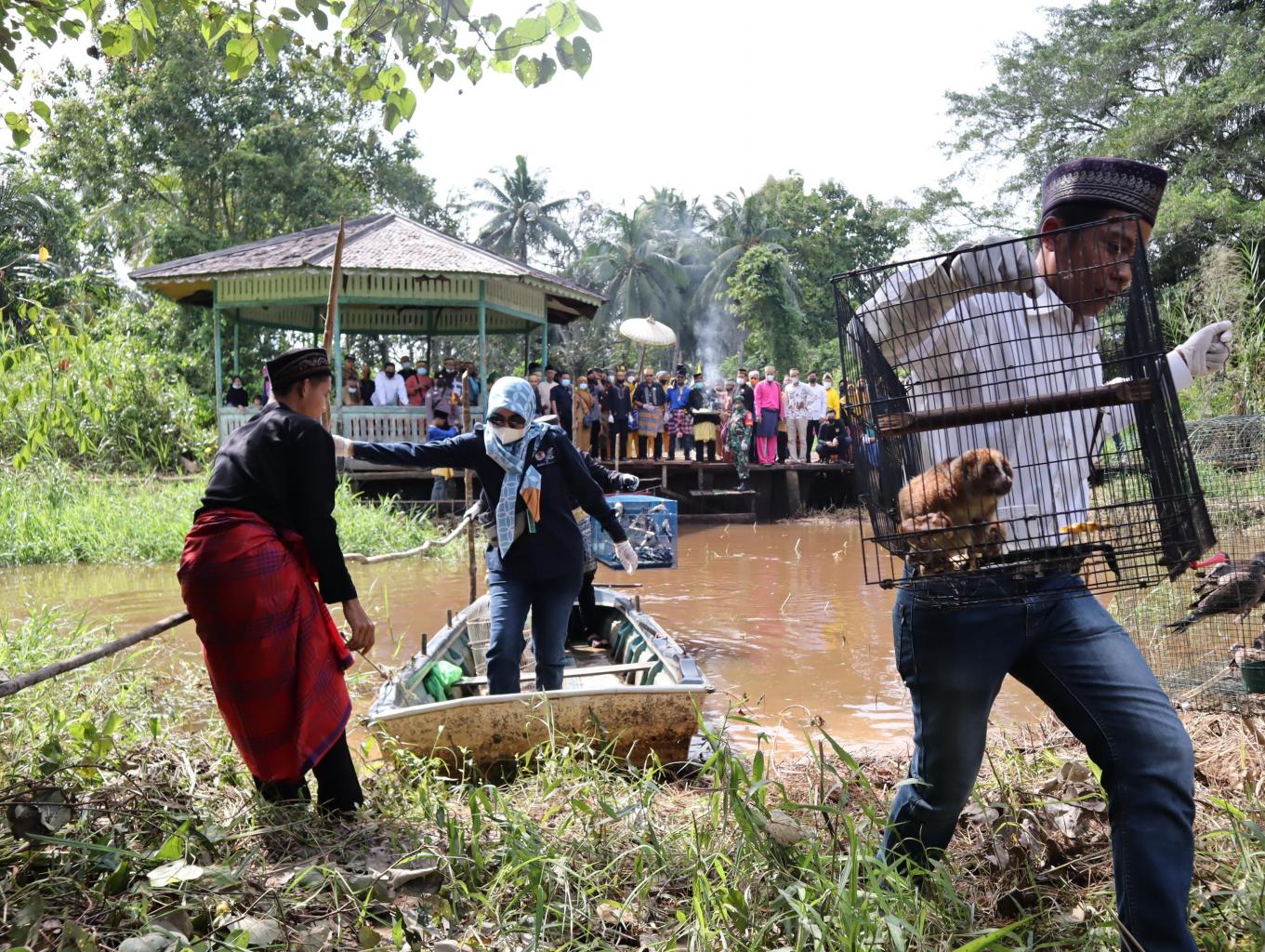 Pelepas liaran Satwa