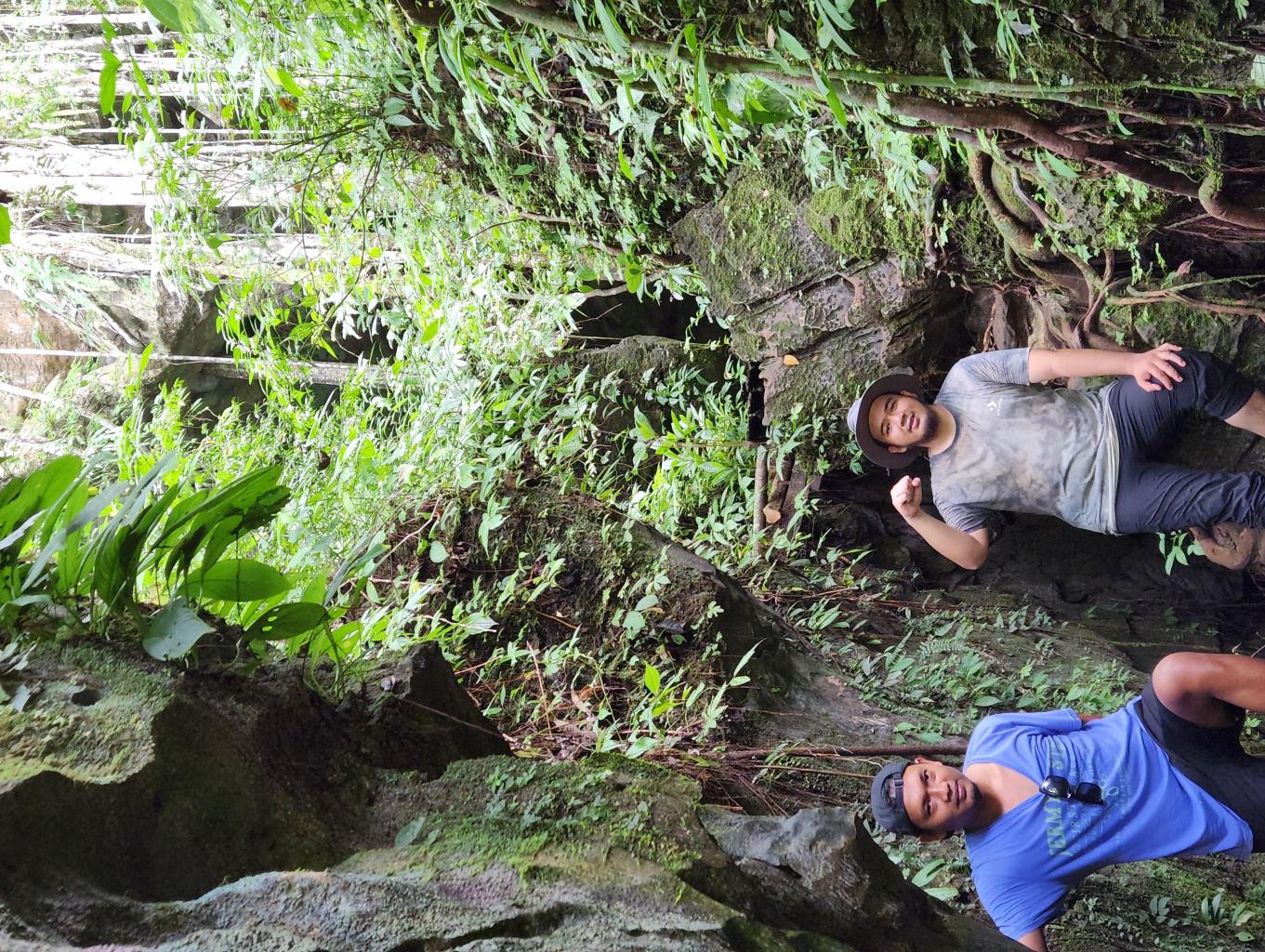 Tour bat cave