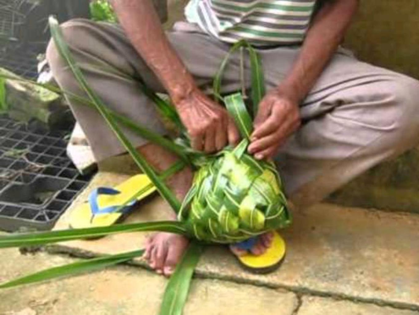 Anyaman Daun Kelapa