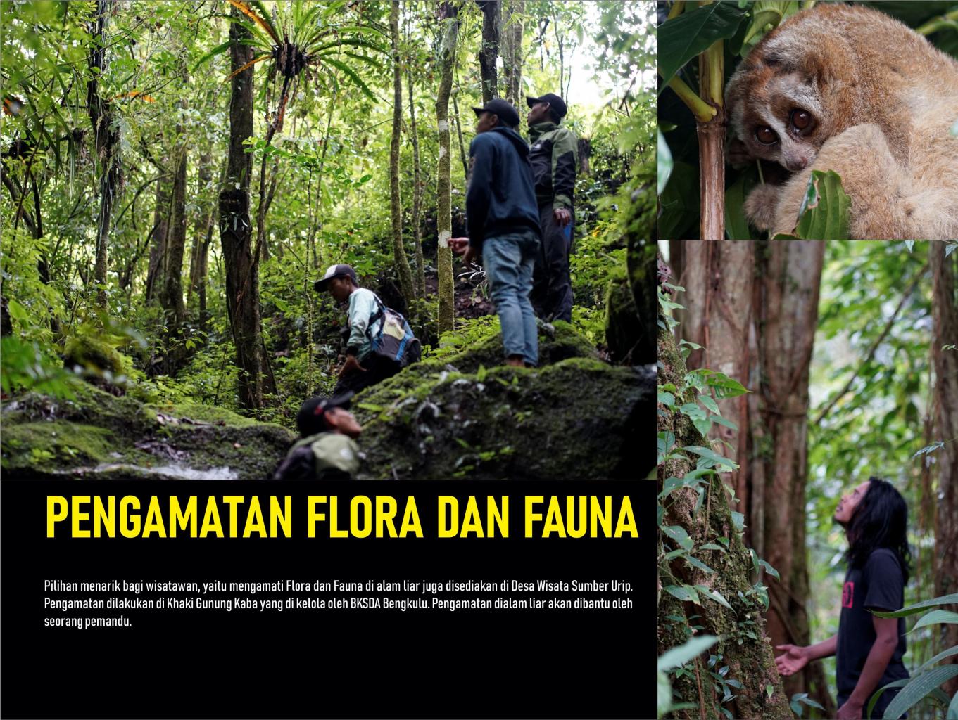 Pengamatan Flora dan Fauna