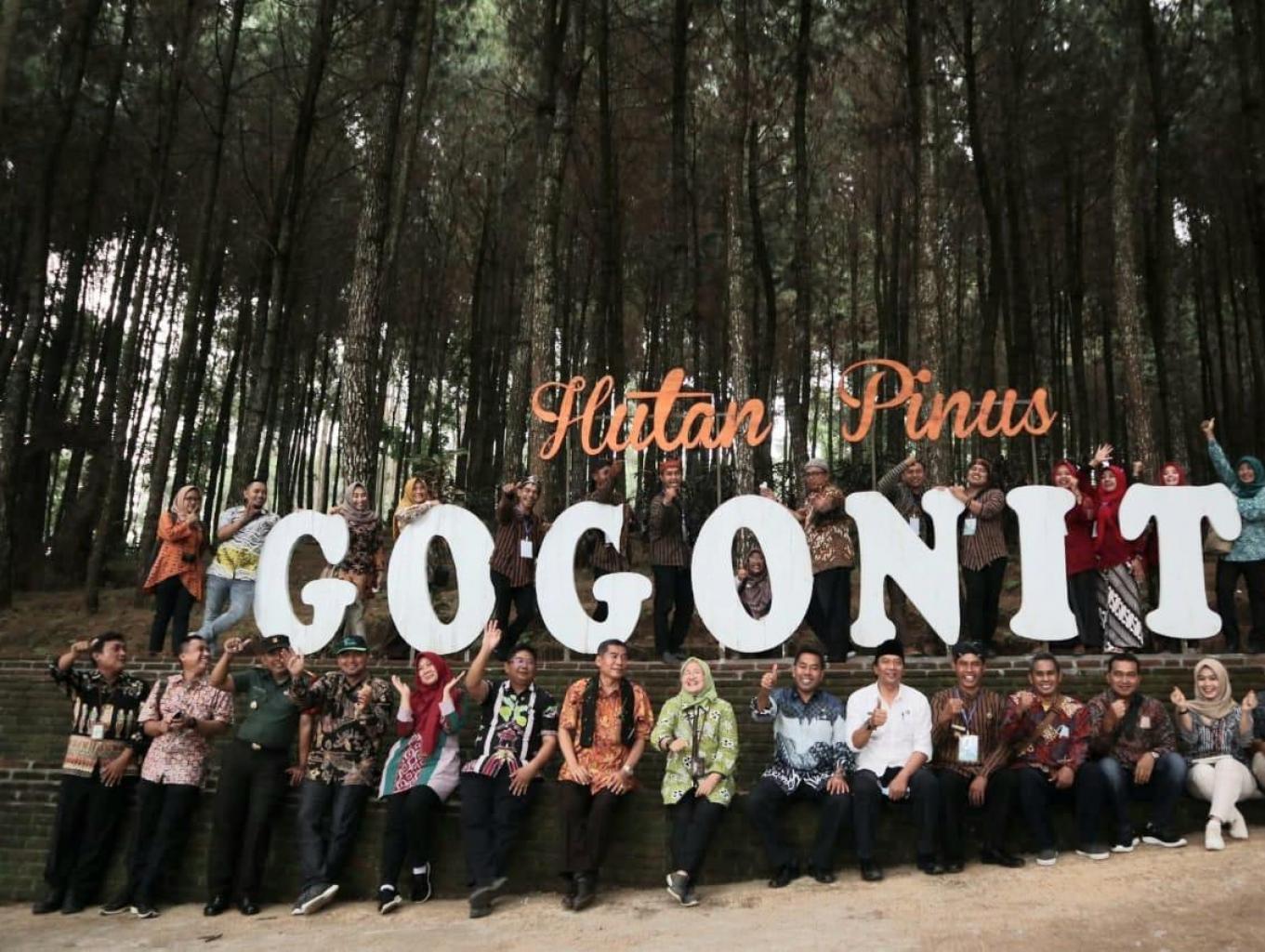 Hutan Pinus Gogoniti