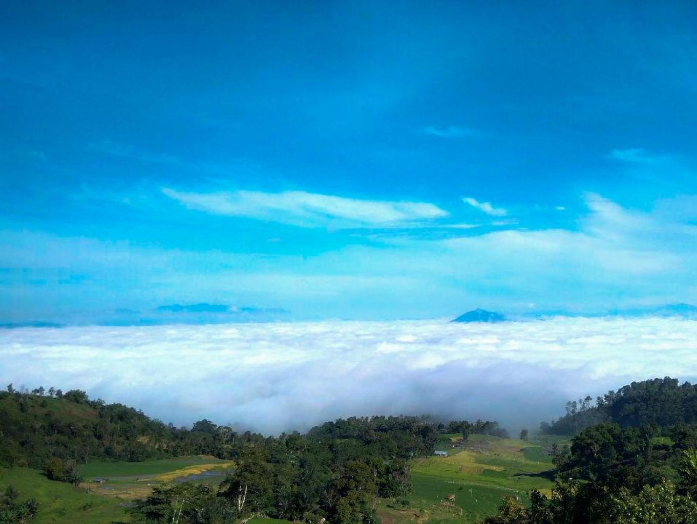 Panorama Kayu Kolek