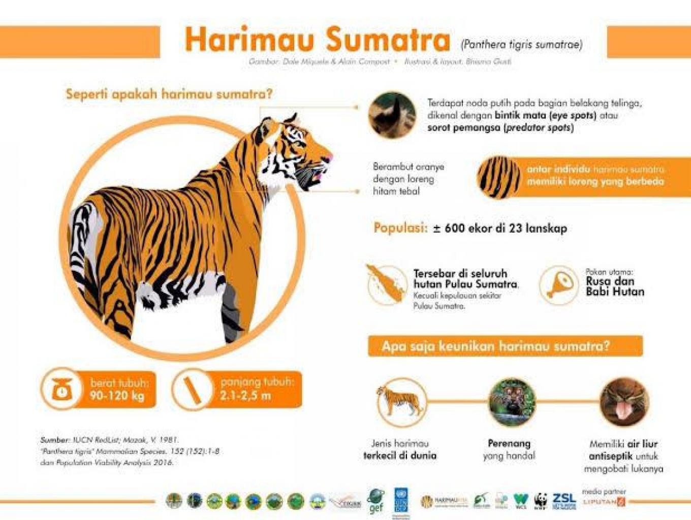 PENGAMATAN HARIMAU SUMATERA