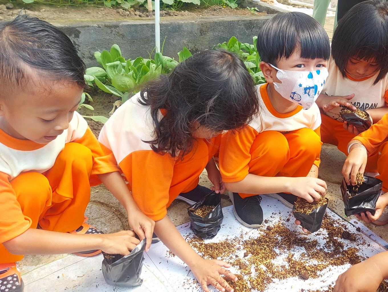 Edukasi Menanam
