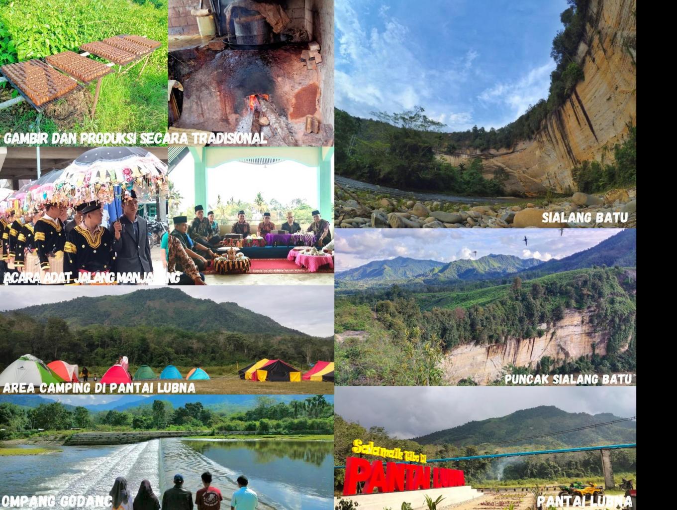 Nagari Sialang