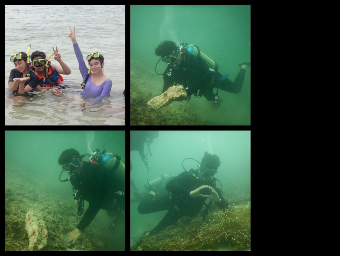 Snorkling dan diving