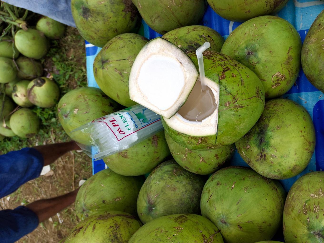 Kelapa Muda