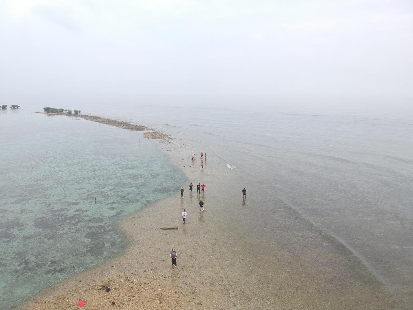 Ekosistem Pesisir
