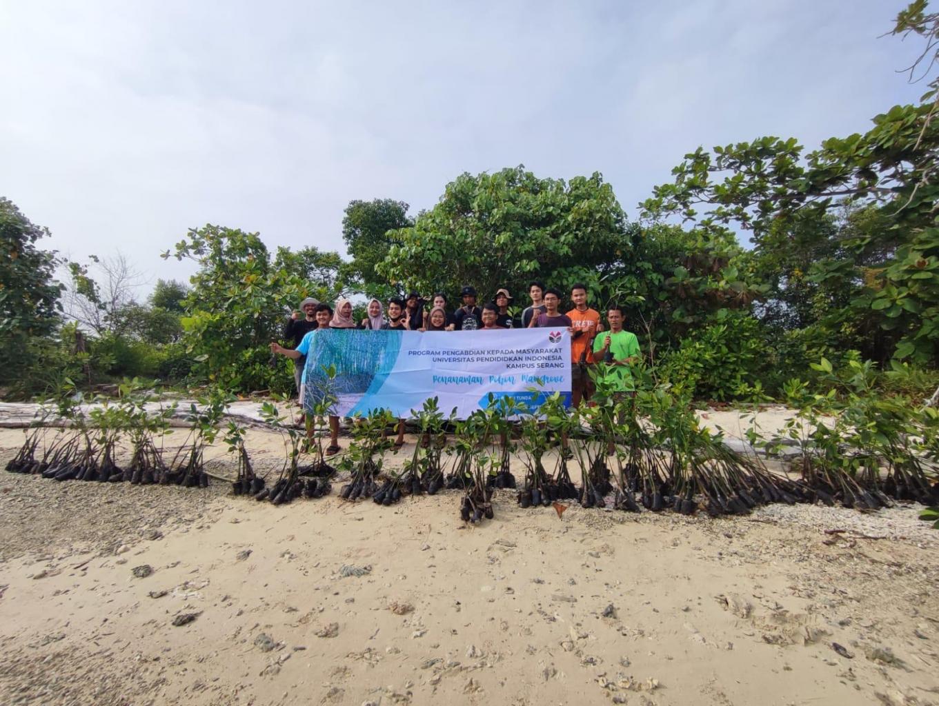 Ekosistem mangrove