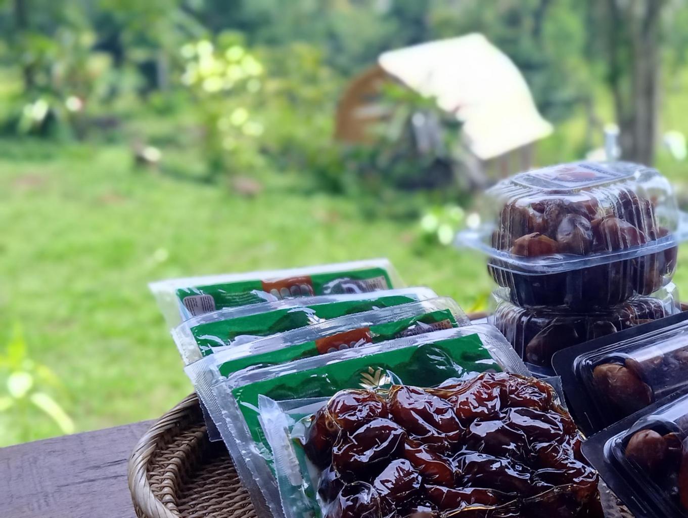 Kurma 
