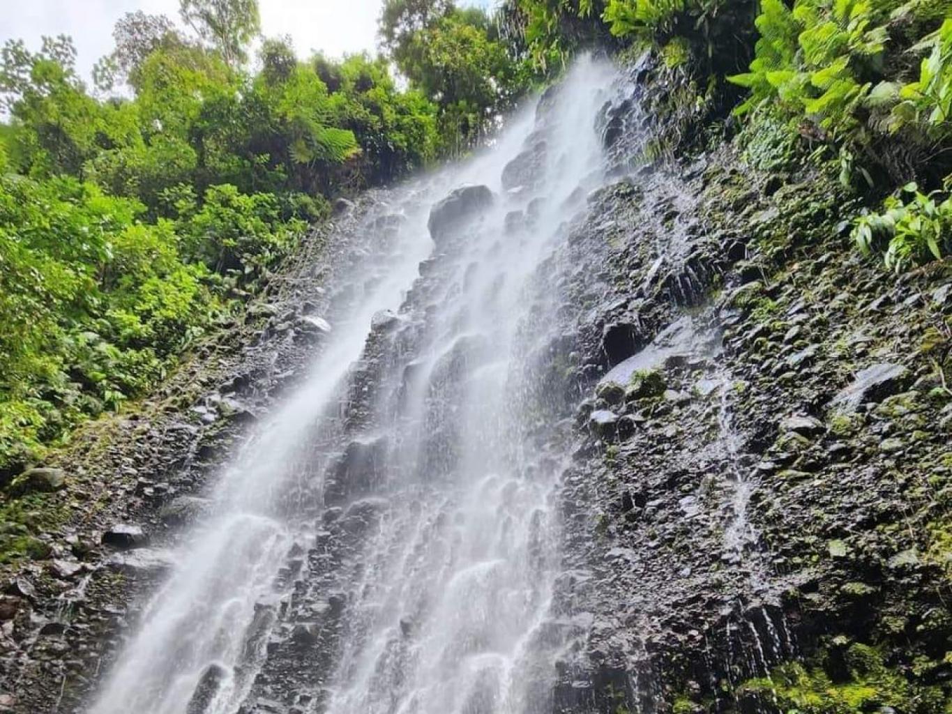 Sarasah Silasuang 